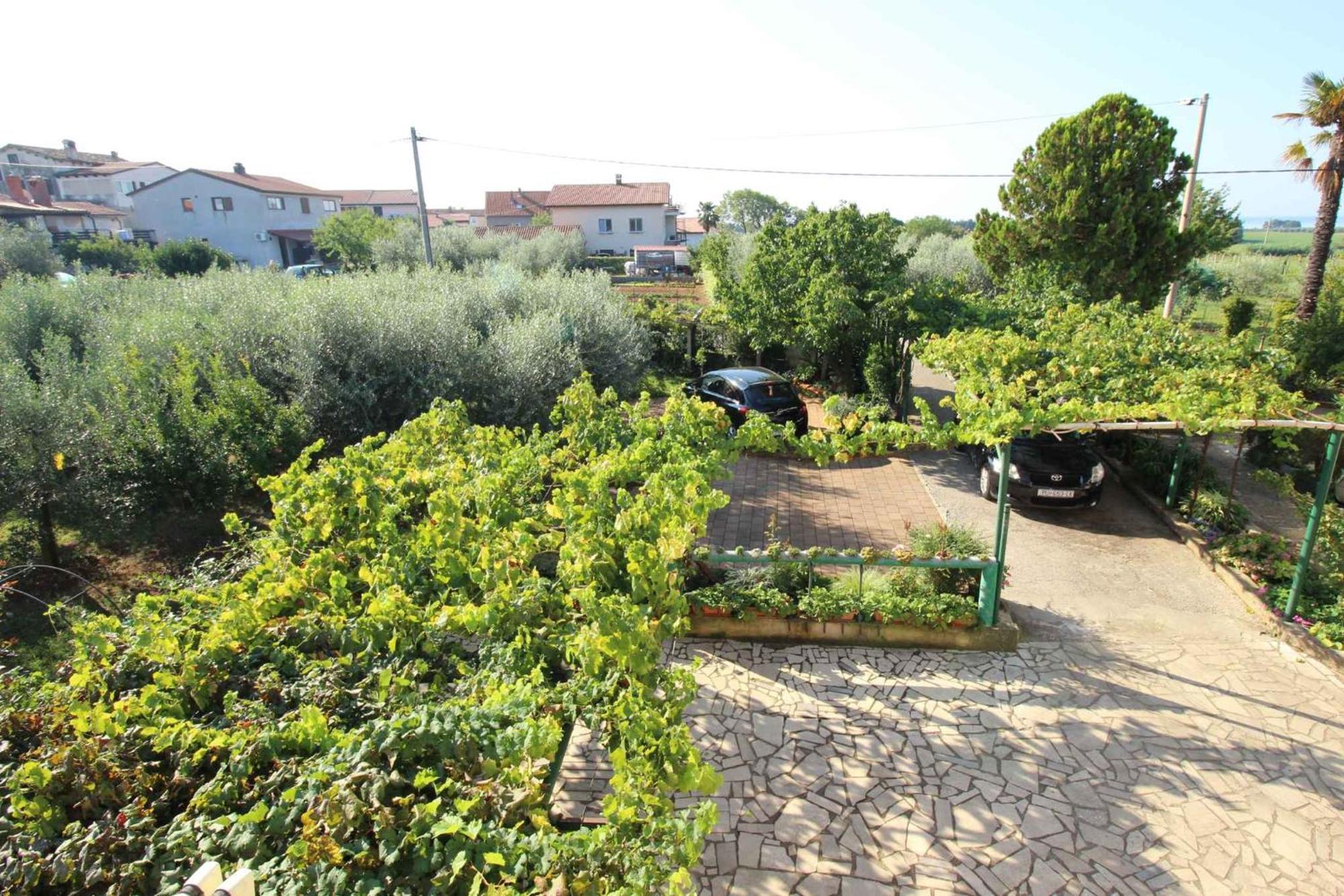 Apartments In Novigrad - Istrien 46738 Karpinjan Exterior photo